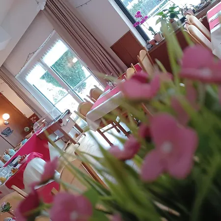 Retro Igelheim バート・ミッテルンドルフ