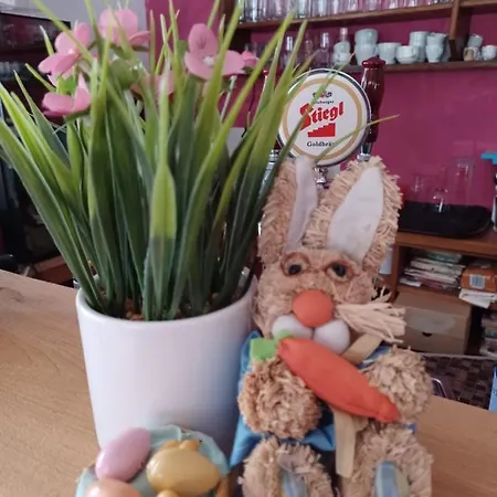 ゲストハウス Retro Igelheim 2*