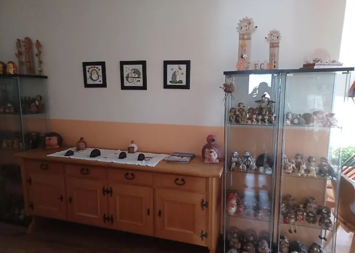 Retro Igelheim بيت ضيافة باد ميترندورف