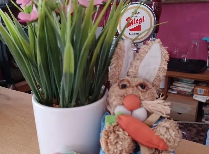 بيت ضيافة Retro Igelheim 2*